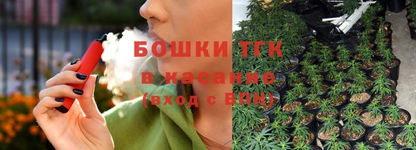 дживик Белокуриха