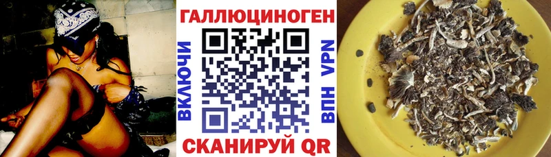 OMG Шуя Галлюциногенные грибы ЛСД